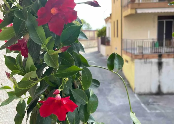 A Casa Di Patty Apartment