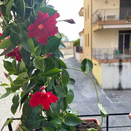 A Casa Di Patty Appartement